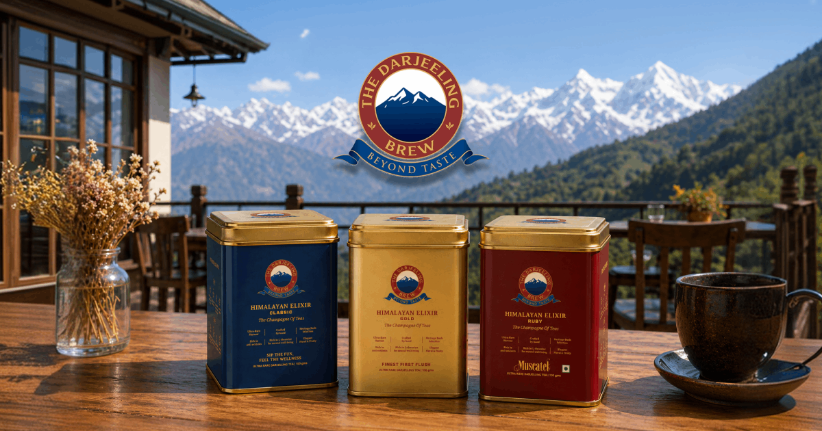 Premium Darjeeling Tea Brand in India - The Darjeeling Brew