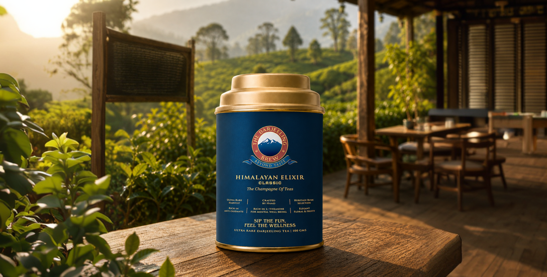 Best Darjeeling tea brand in India – The Darjeeling Brew