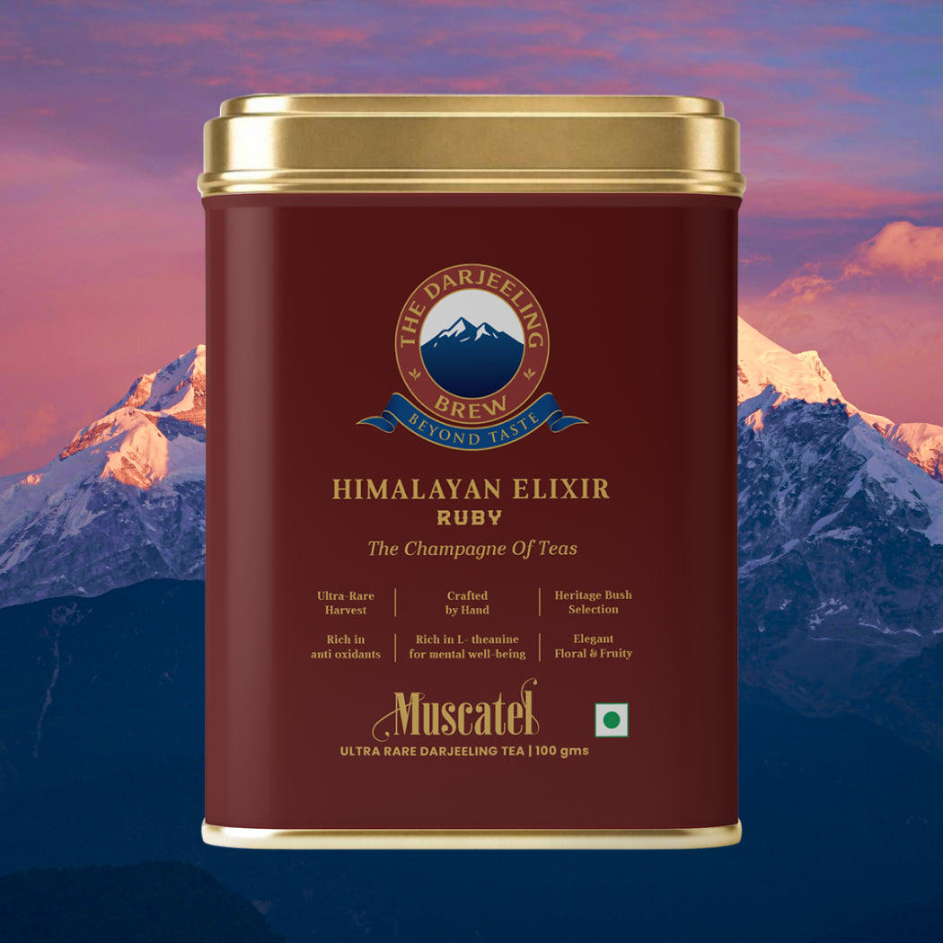 Premium Darjeeling Tea Brand in India - The Darjeeling Brew
