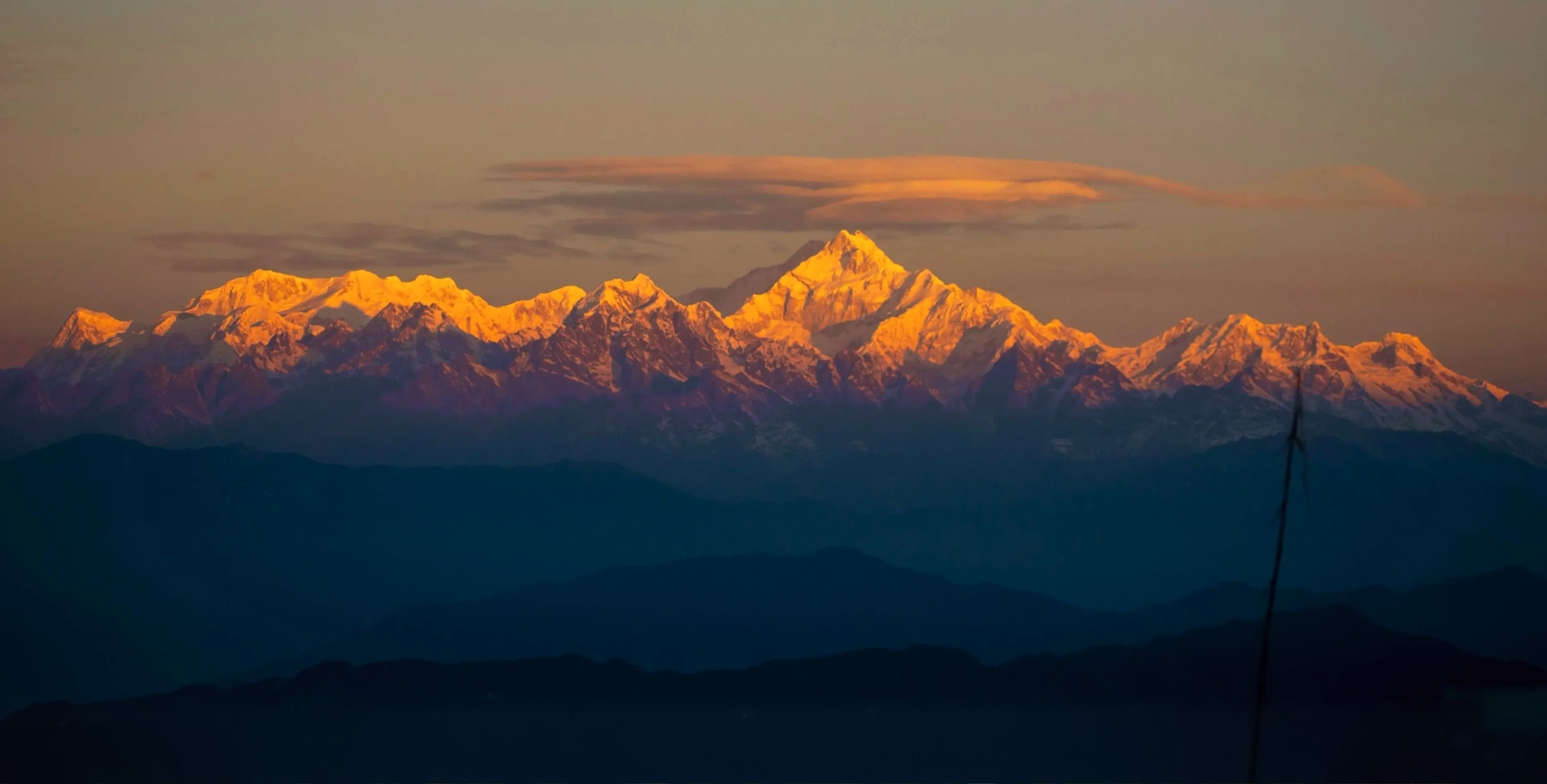 Taste the Spirit of the Himalayas - The Darjeeling Brew